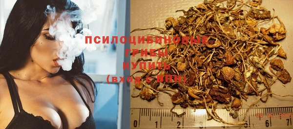 прущая мука Арсеньев