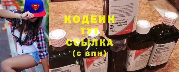 стаф Щигры