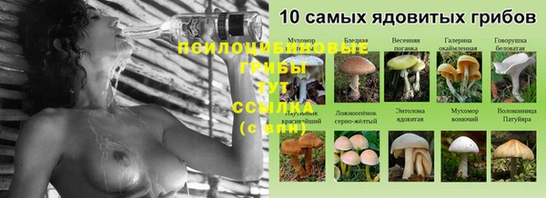 mix Аркадак
