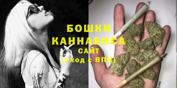 шишки Армянск