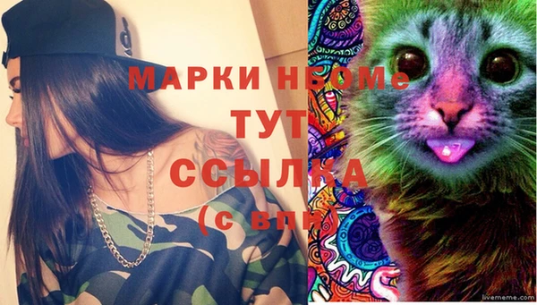 прущая мука Арсеньев