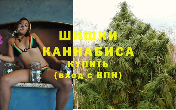 шишки Армянск