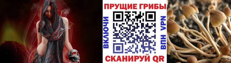 Псилоцибиновые грибы мухоморы  Белинский 