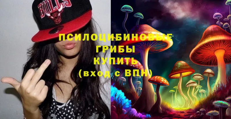 Псилоцибиновые грибы Psilocybine cubensis  блэк спрут зеркало  Белинский 